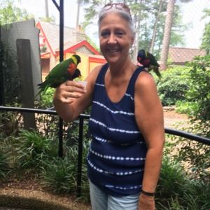 Meet your Posher, Bambi